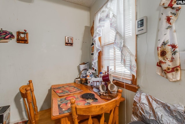 dining room with hardwood / wood-style flooring