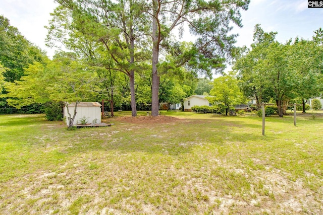 view of yard with a storage shed