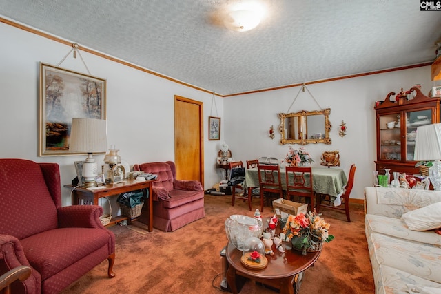 carpeted living room featuring ornamental molding and a textured ceiling