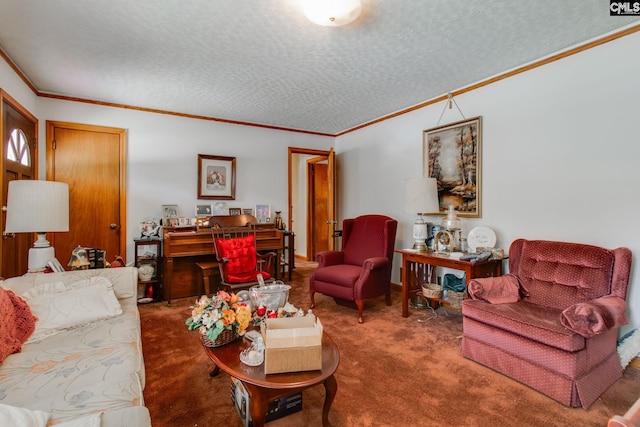 carpeted living room with crown molding and a textured ceiling