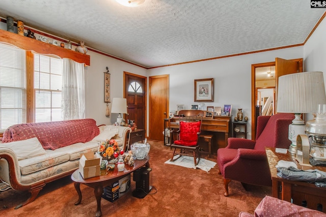 living room featuring crown molding, carpet flooring, and a textured ceiling