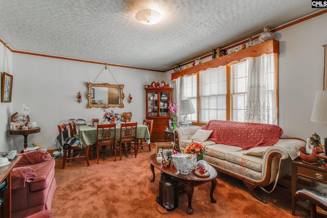 carpeted living room with ornamental molding and a textured ceiling