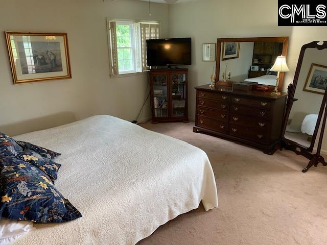 bedroom featuring light colored carpet