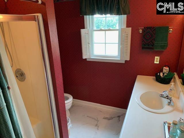 bathroom with toilet, vanity, and a shower