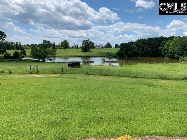 view of yard with a water view