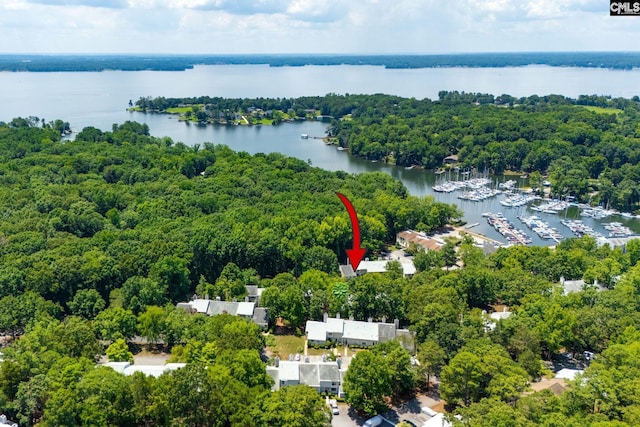 bird's eye view with a water view