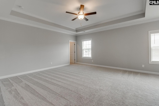 spare room featuring a healthy amount of sunlight, a tray ceiling, and ornamental molding