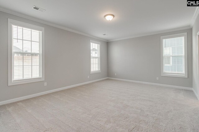 carpeted spare room featuring a healthy amount of sunlight and ornamental molding