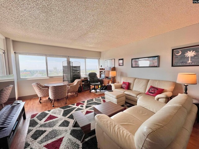 living room featuring hardwood / wood-style flooring and a textured ceiling