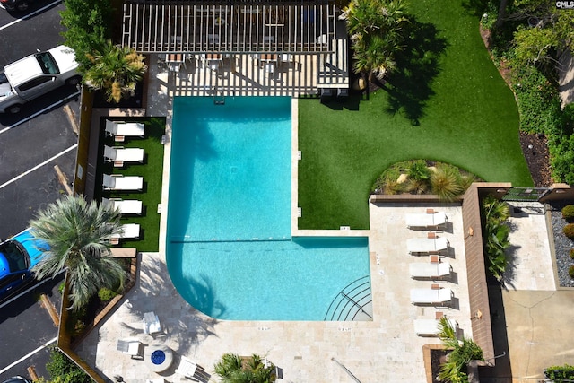 view of swimming pool