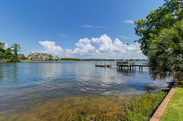 dock area with a water view