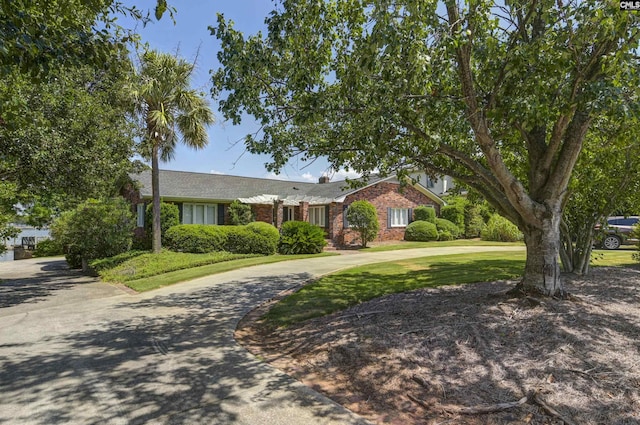 single story home featuring curved driveway, a front lawn, and brick siding