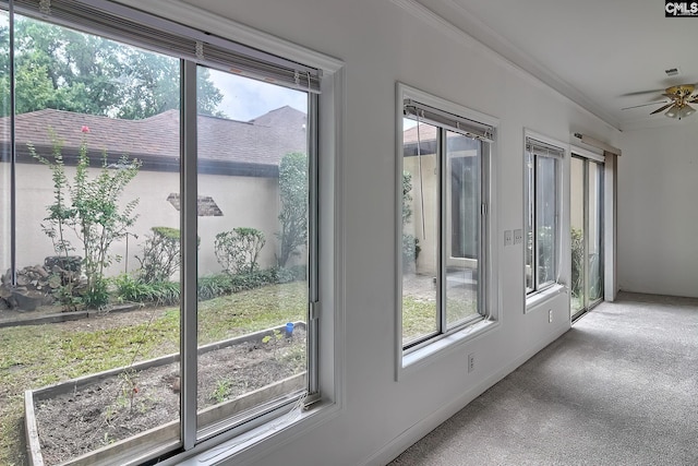 doorway to outside featuring crown molding, ceiling fan, and carpet floors