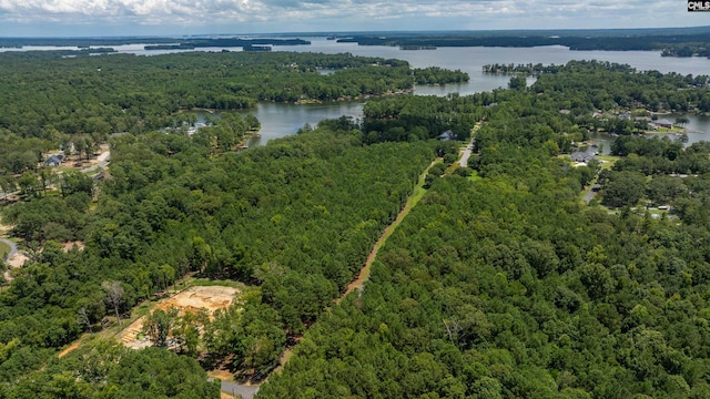 LOT202 Peninsula Dr, Prosperity SC, 29127 land for sale