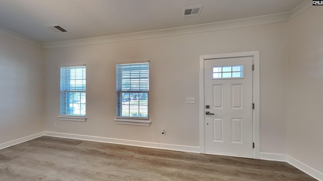 foyer with wood-type flooring and a wealth of natural light