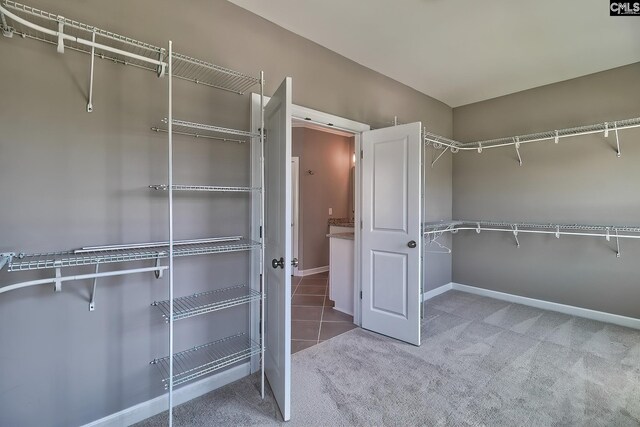 walk in closet featuring carpet floors