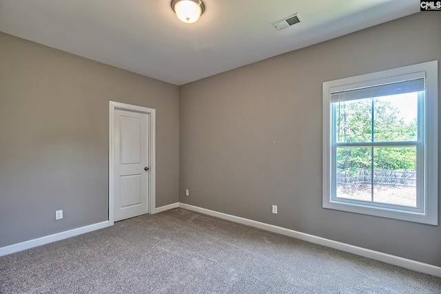 unfurnished room featuring carpet floors and a healthy amount of sunlight