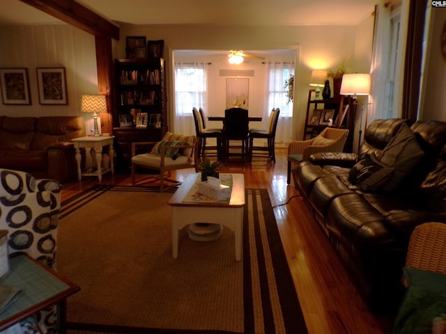 living room featuring ceiling fan and dark hardwood / wood-style flooring