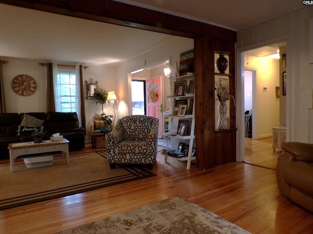 living room featuring wood-type flooring