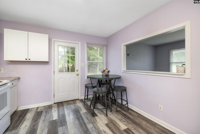 dining room featuring dark wood-type flooring