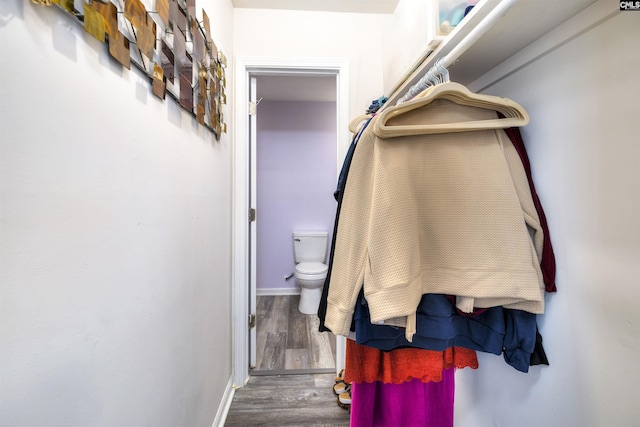 walk in closet with wood-type flooring