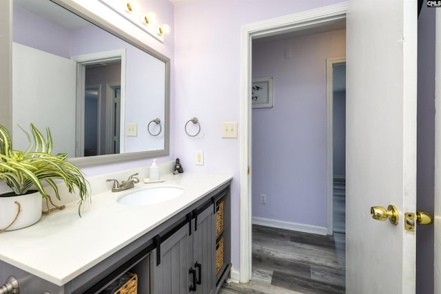 bathroom with hardwood / wood-style flooring and vanity