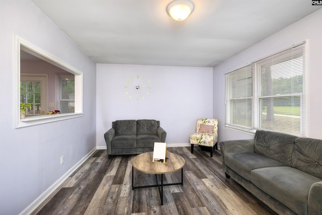 living room with dark hardwood / wood-style flooring