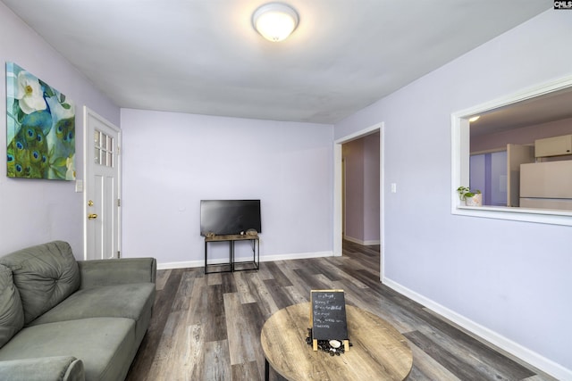 living room featuring dark wood-type flooring