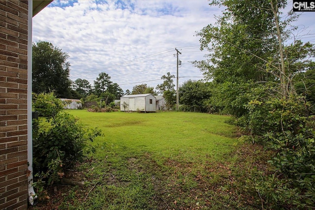 view of yard with an outbuilding and a storage unit