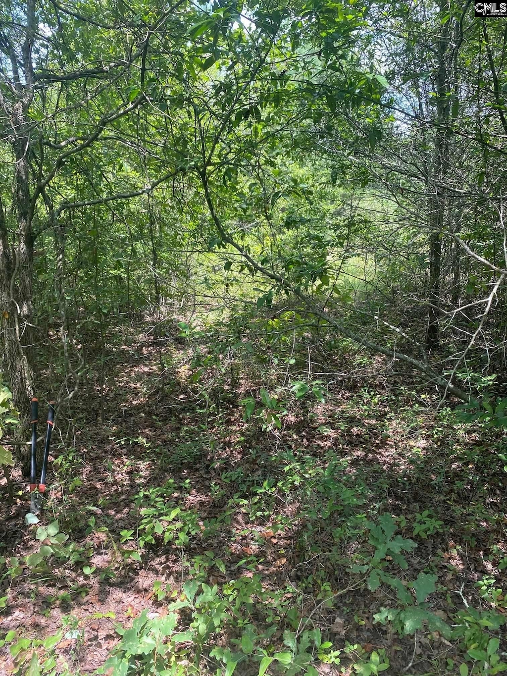 Rutherford Rd, Lexington, SC 29073