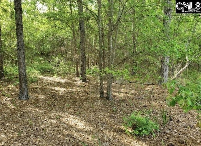 0 Clinton Church Rd Unit 20, Salley, SC 29137