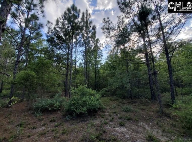 0 Clinton Church Rd Unit 20, Salley, SC 29137