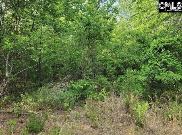 0 Clinton Church Rd Unit 20, Salley, SC 29137