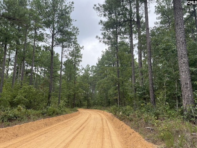 FYF1A Fox Young Rd Unit Fyf 1A, Wagener SC, 29164 land for sale