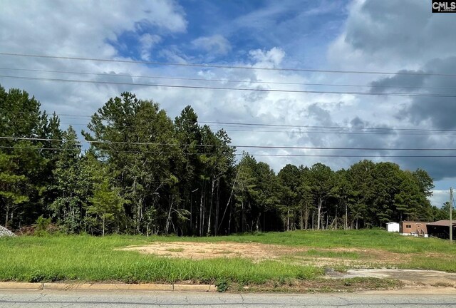 14527 Cr Koon Hwy, Newberry SC, 29108 land for sale