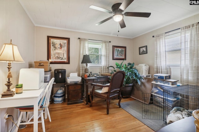 home office with ornamental molding, light wood-style flooring, and a ceiling fan