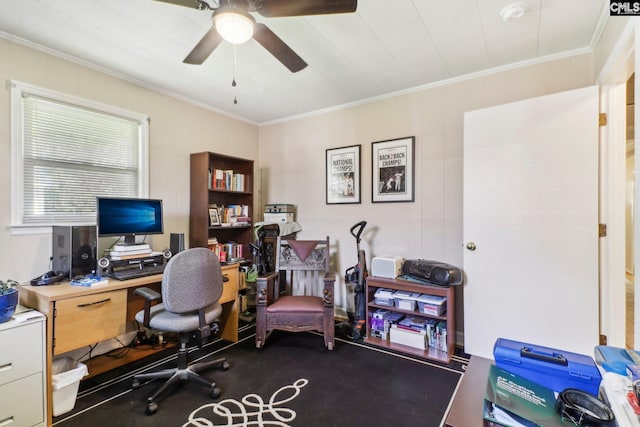 home office with ceiling fan and ornamental molding