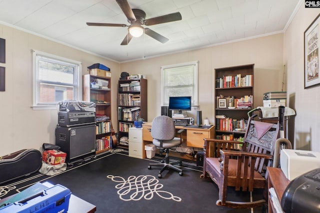 office featuring ceiling fan, carpet floors, and ornamental molding