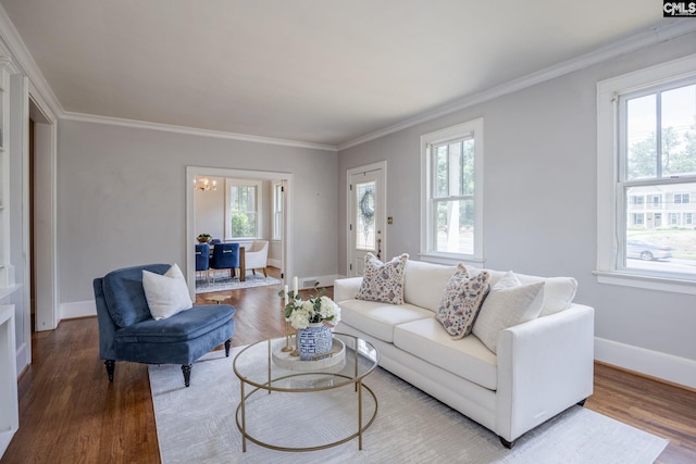 living room with hardwood / wood-style floors and crown molding