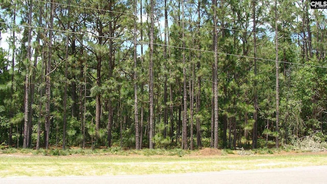 822 Meadowfield Rd, Gaston SC, 29053 land for sale