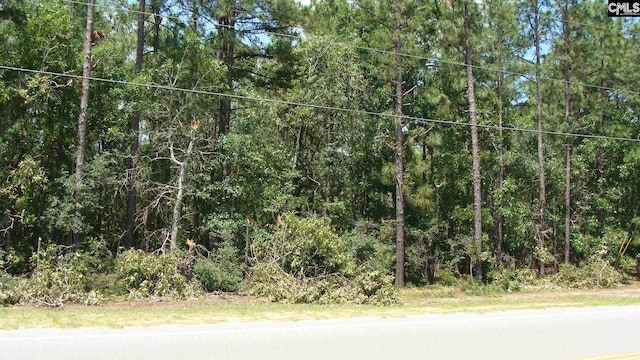 816 Meadowfield Rd, Gaston SC, 29053 land for sale