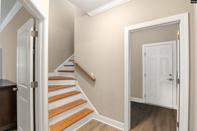 stairway featuring crown molding and wood-type flooring