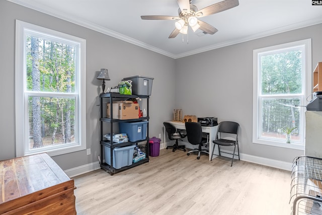 home office featuring light hardwood / wood-style flooring and a wealth of natural light