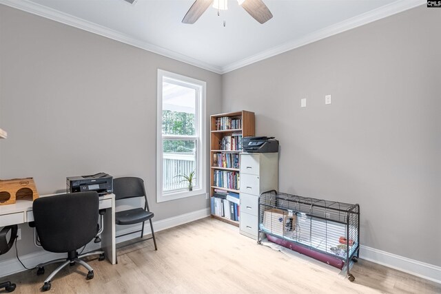 office area featuring ceiling fan, light hardwood / wood-style flooring, and ornamental molding