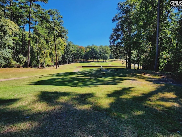 557 Wateroak Trl Unit 37, Chapin, SC 29036