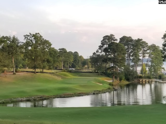 557 Wateroak Trl Unit 37, Chapin, SC 29036