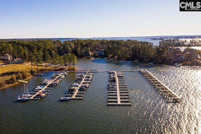 557 Wateroak Trl Unit 37, Chapin, SC 29036