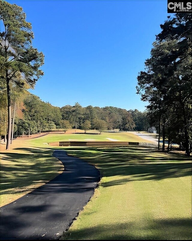 520 Wateroak Trl Unit 5, Chapin, SC 29036