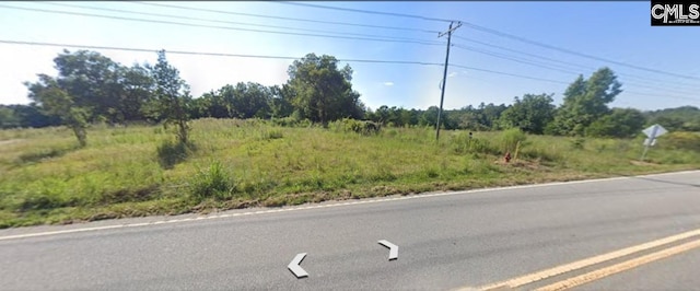 1304 Amicks Ferry Rd, Chapin SC, 29036 land for sale