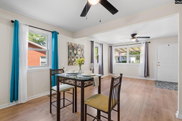 dining room featuring plenty of natural light, ceiling fan, and light hardwood / wood-style flooring